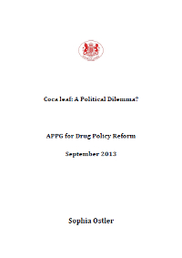coca-leaf-political-dilemma