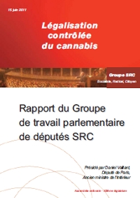 vaillant-rapport